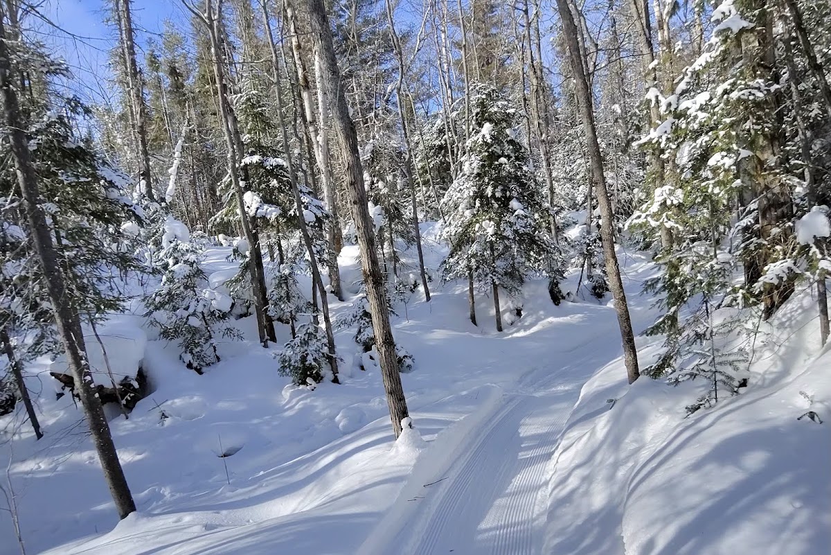 Parc d'une rive à l'autre - centre Dorval