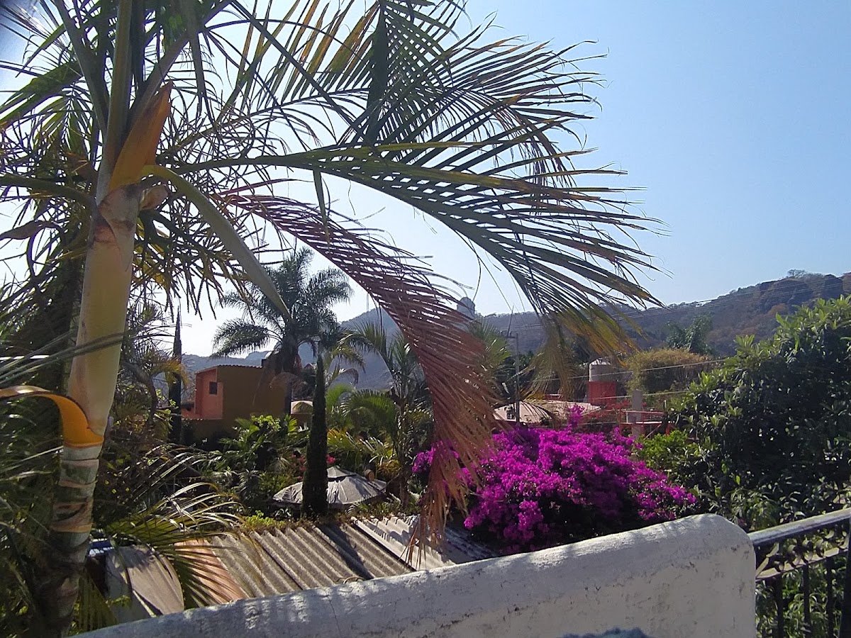 Reyna xochitl photo 2