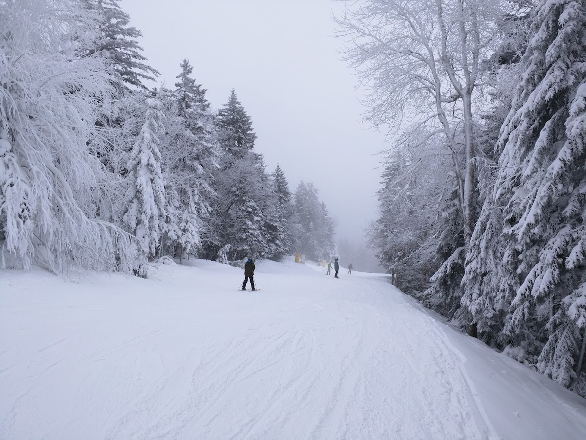 Snowshoe Mountain Resort photo 3