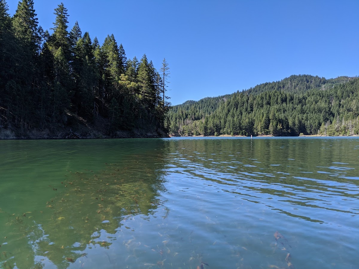 Ruth Lake