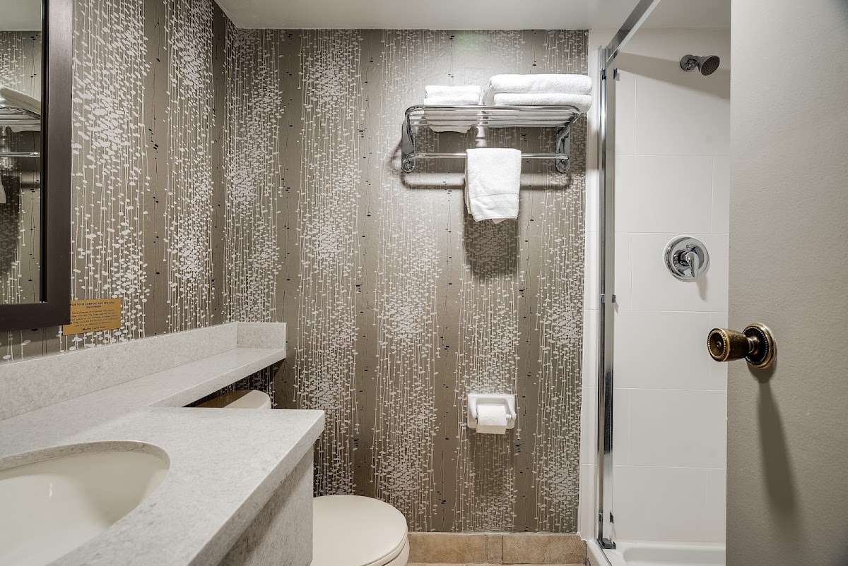 Monte Carlo Inns - Toronto West Suites photo 3
