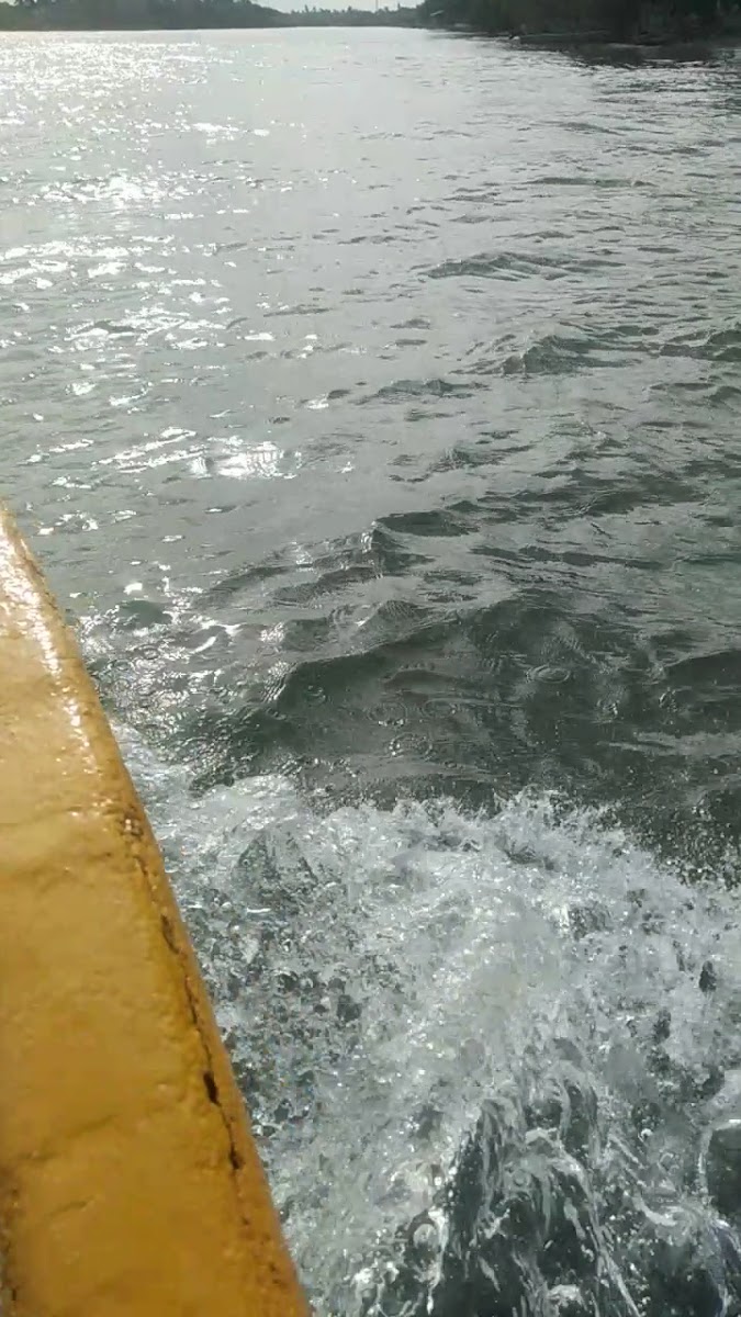 Laguna Mecoacan