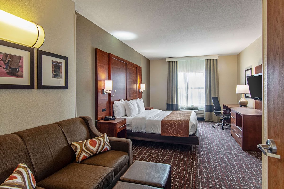 Comfort Suites NW Dallas Near Love Field photo 2