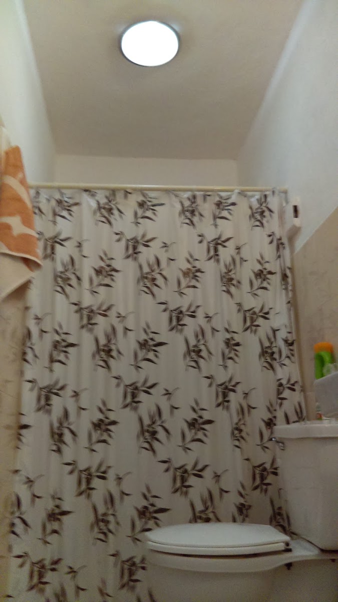 Casita La Florida Cancún photo 2
