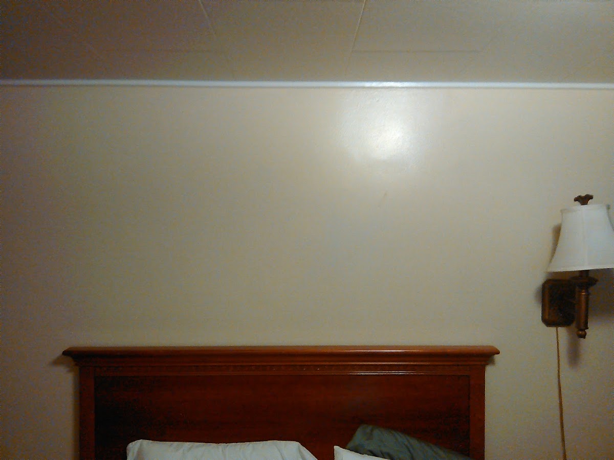Towne motel photo 2