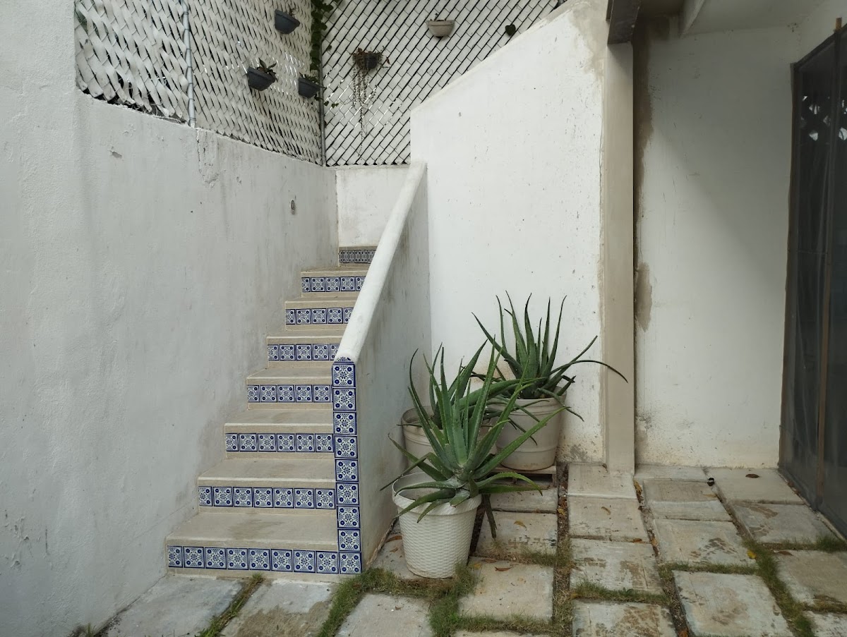 La Casa De Chetumal photo 2
