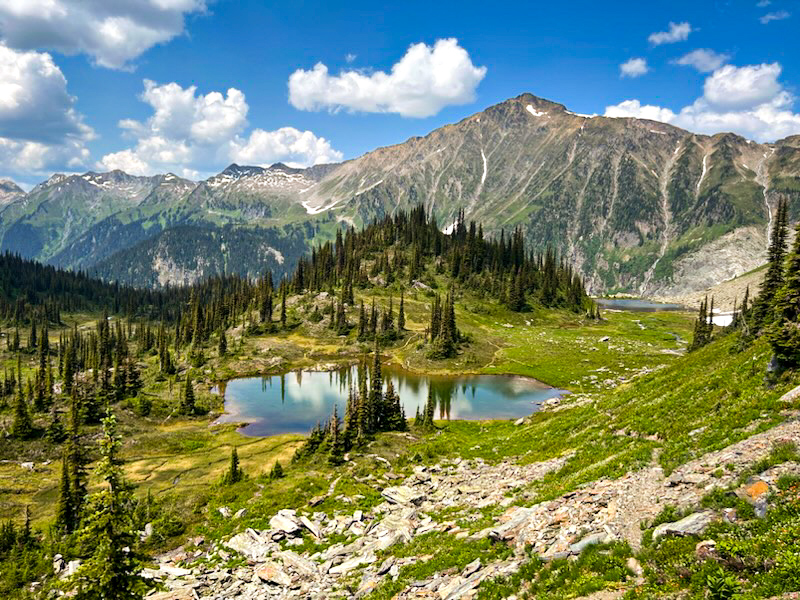 Selkirk Mountain Experience photo 3