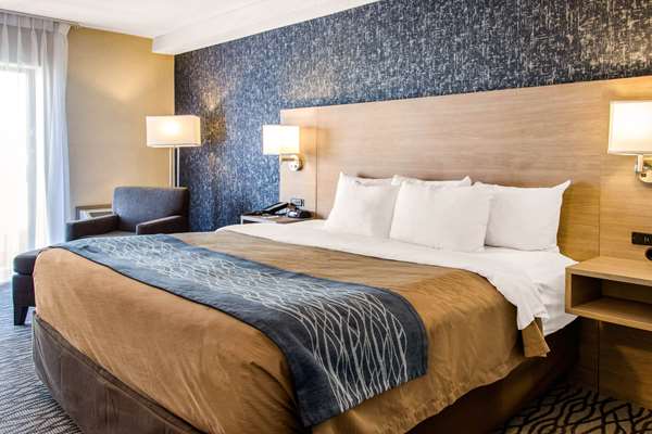 Comfort Inn Aeroport photo 2