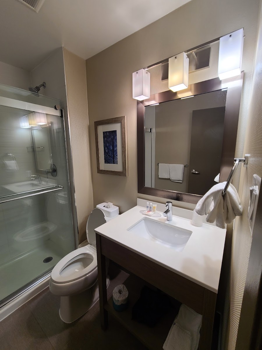 Comfort Inn Aeroport photo 3