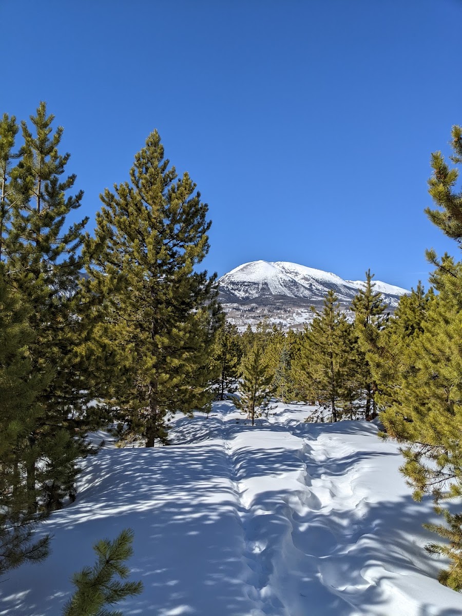 Frisco Nordic Center photo 3