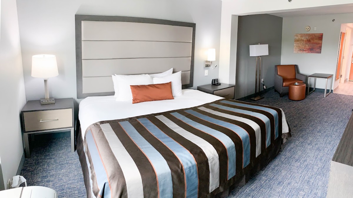 Best Western Plus McAllen Airport photo 2