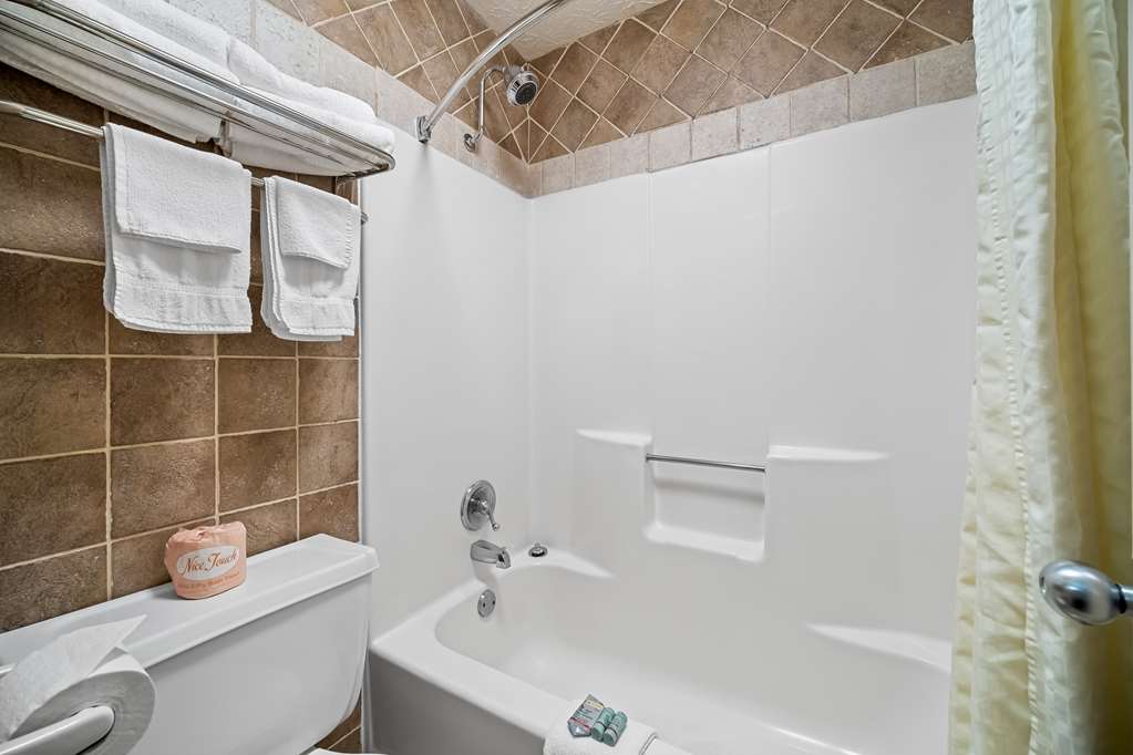 Best Western Braselton Inn photo 3