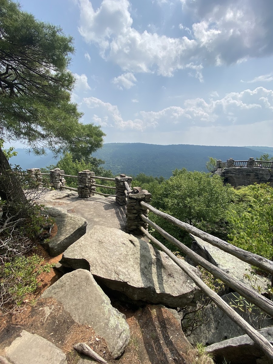 Coopers Rock