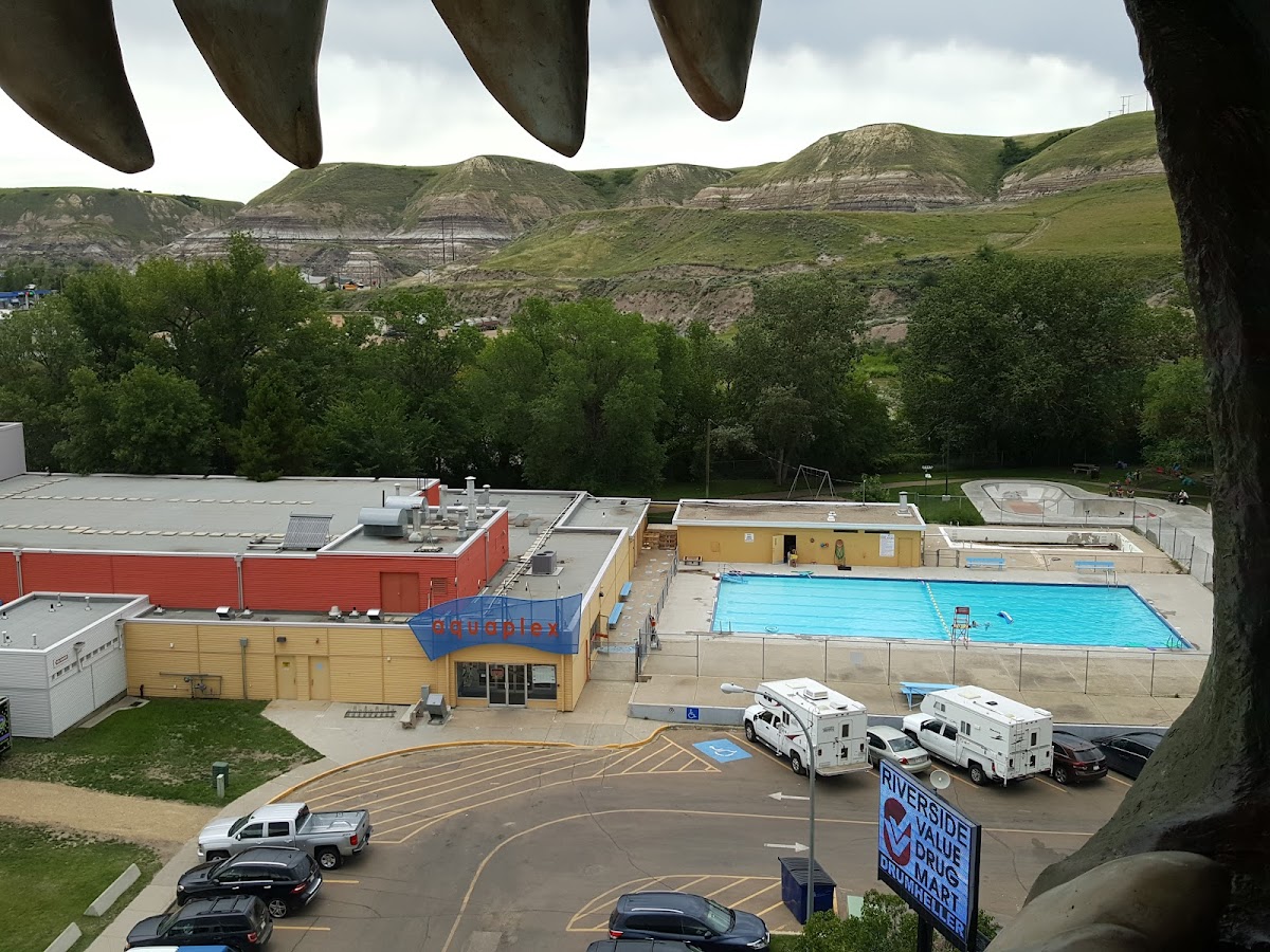 Travelodge by Wyndham Drumheller photo 3