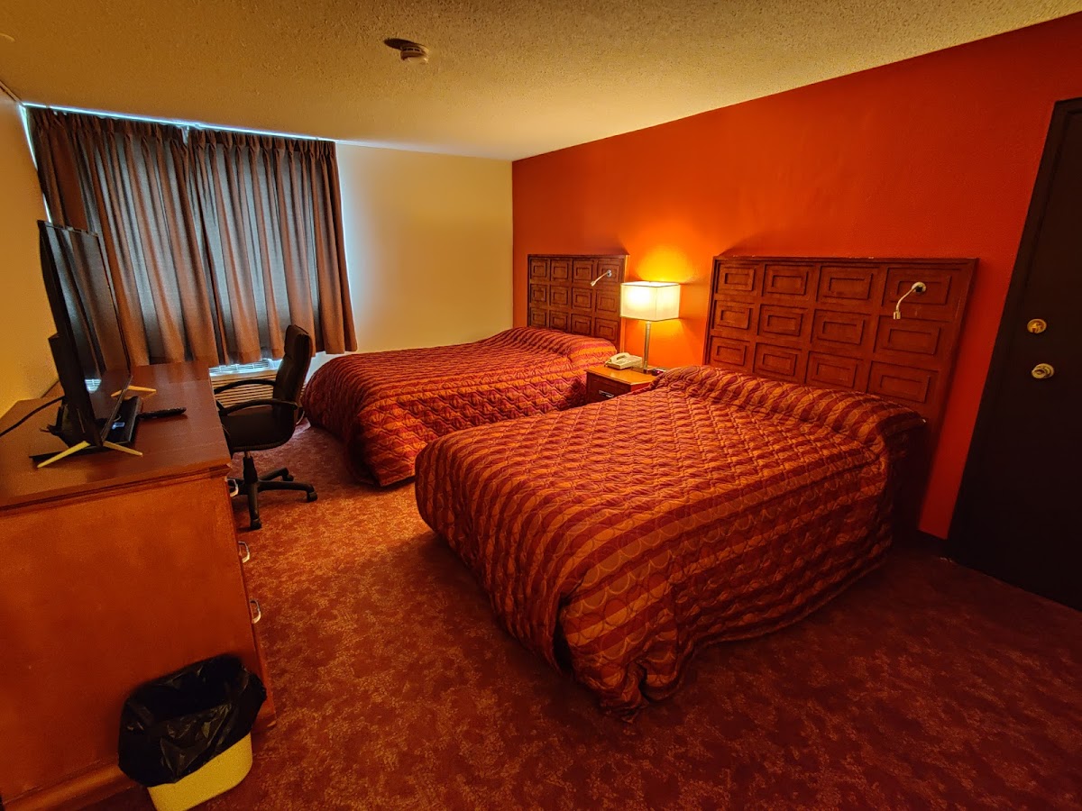 Empire Inn Hotel: VLT Lounge-Bar & Beer Vendor photo 2