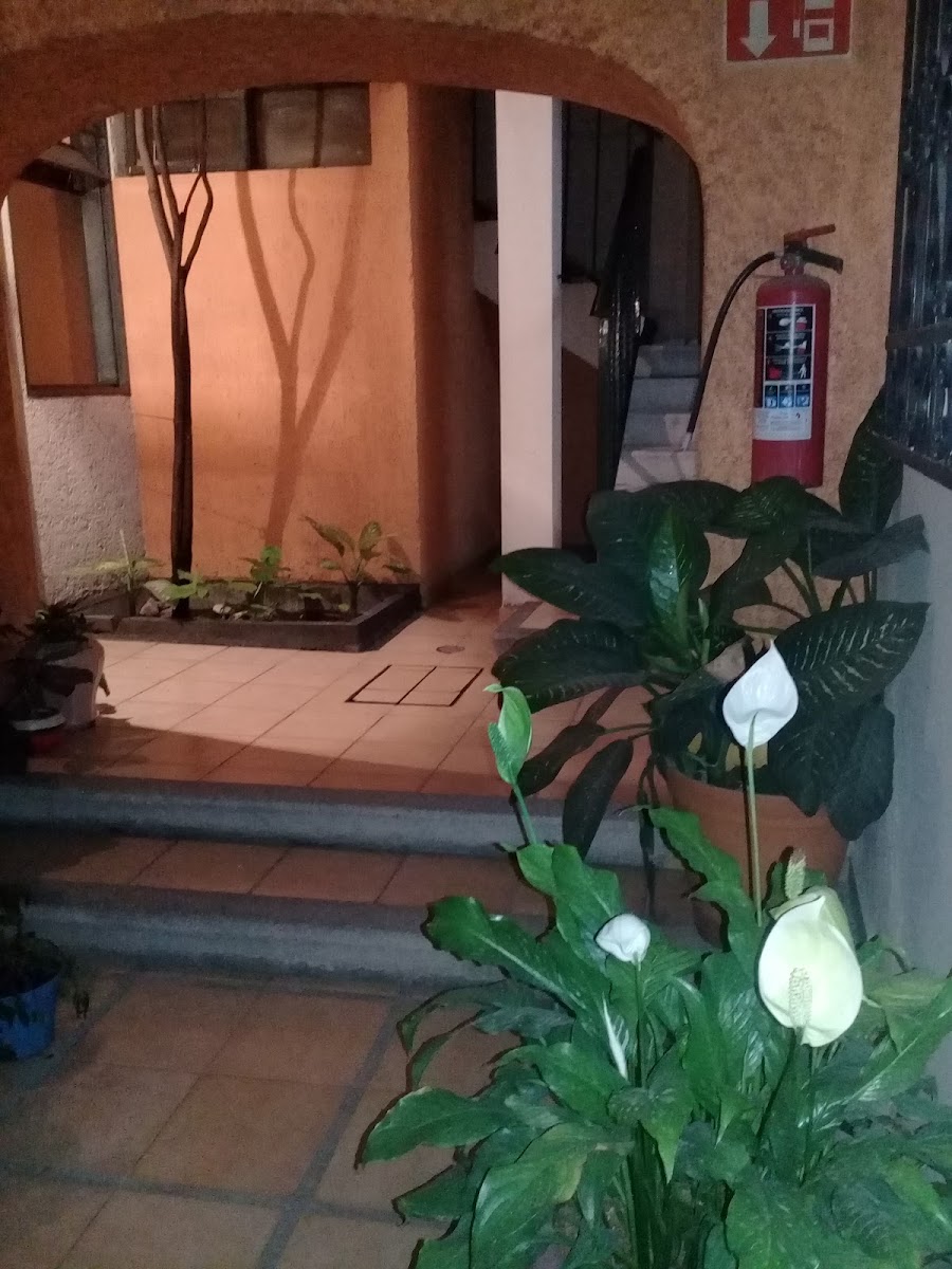 Hotel La Gavia photo 2