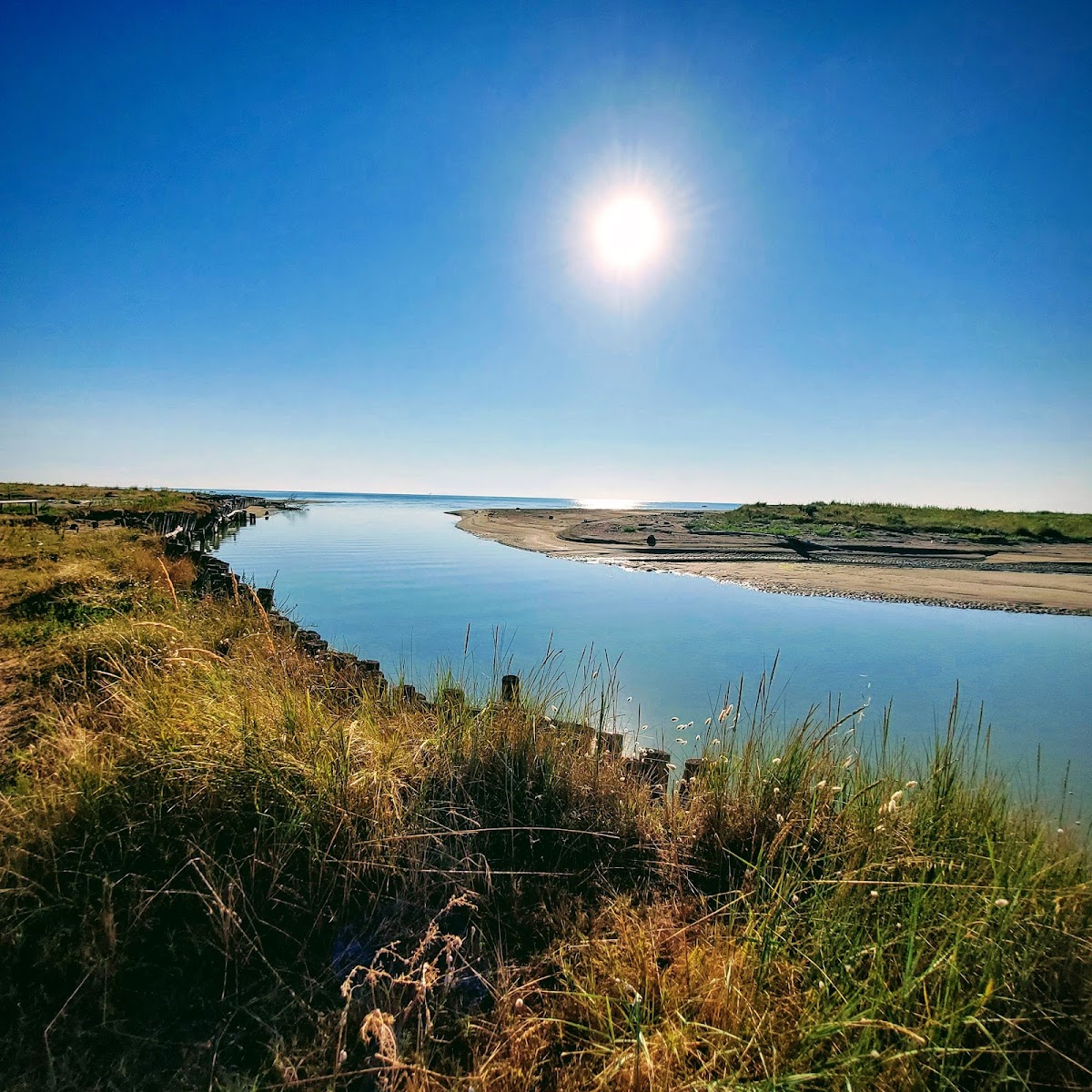 Po Delta Regional Park
