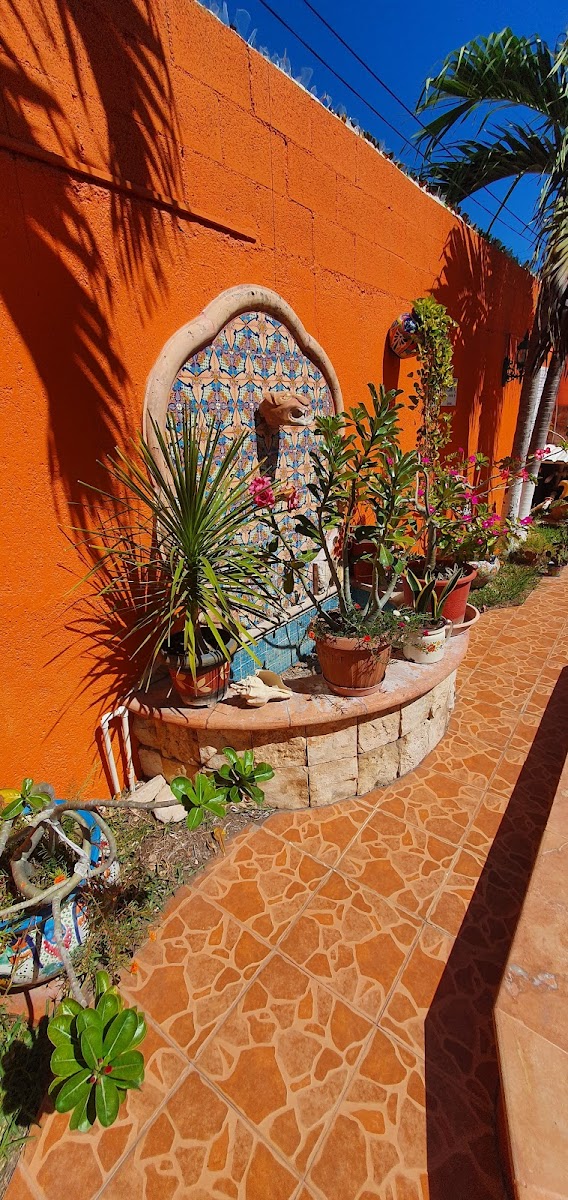 Maria's Hotel Nicte-Ha and Suites photo 3
