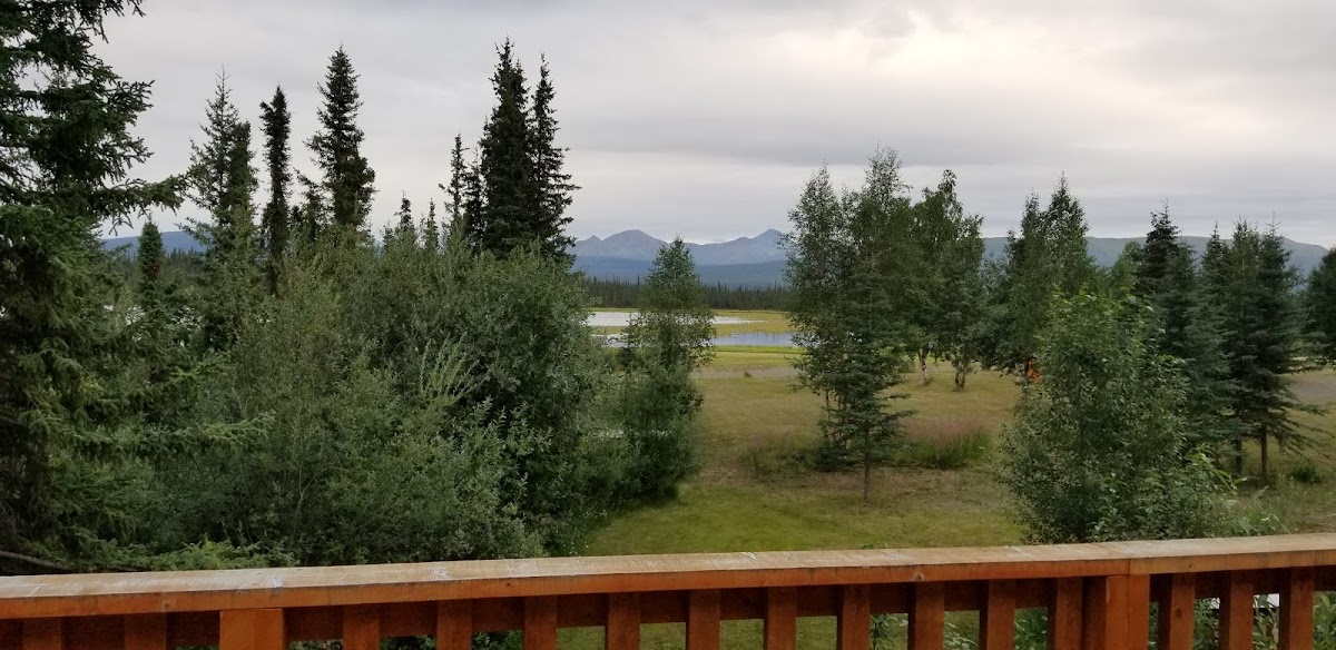 Nelchina Lodge photo 2