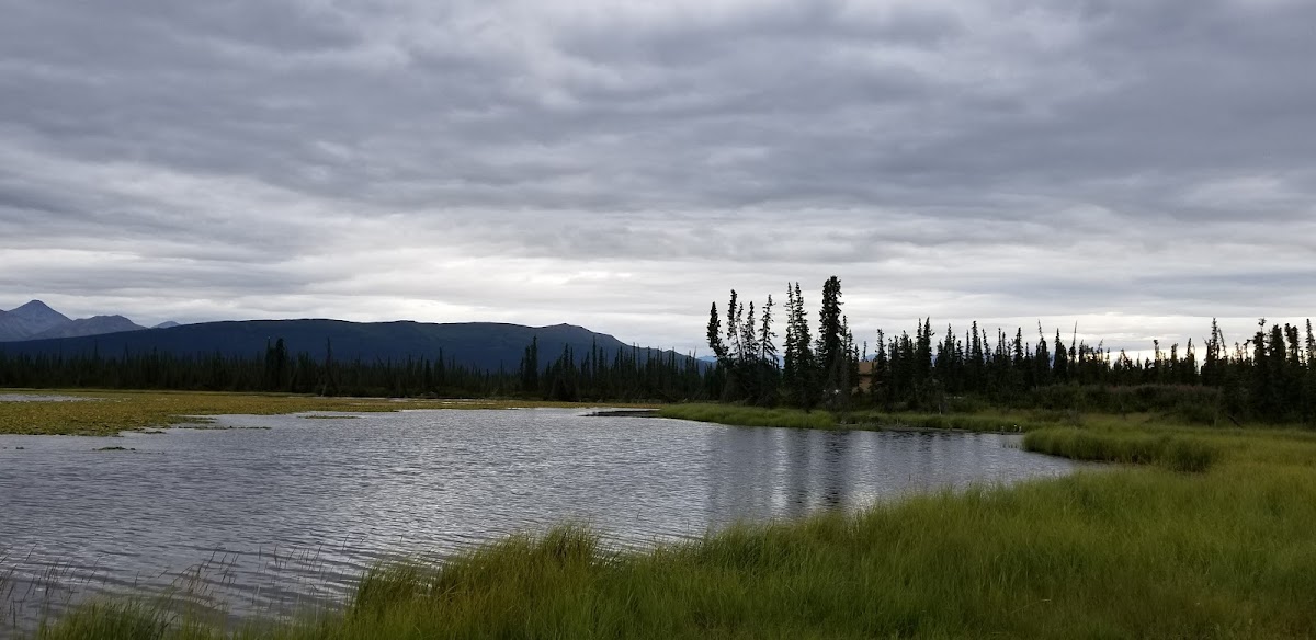 Nelchina Lodge