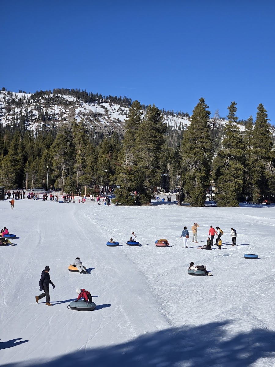 Bear Valley Adventure Company (BVAC) photo 3