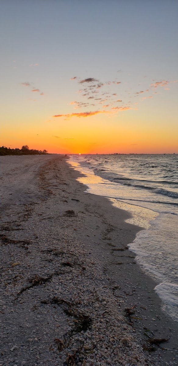 Sanibel Beach Club photo 3