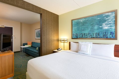 SpringHill Suites by Marriott Austin South photo 2
