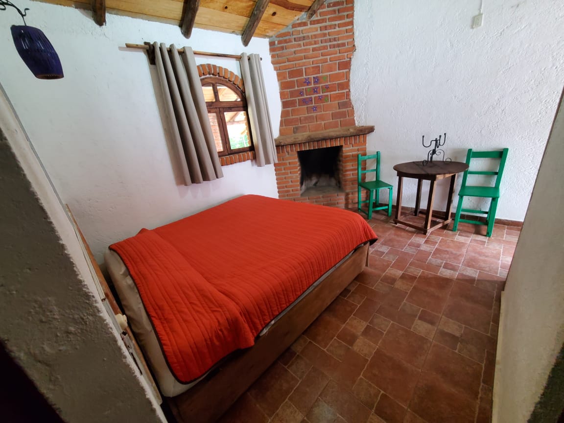 casa zelma photo 3