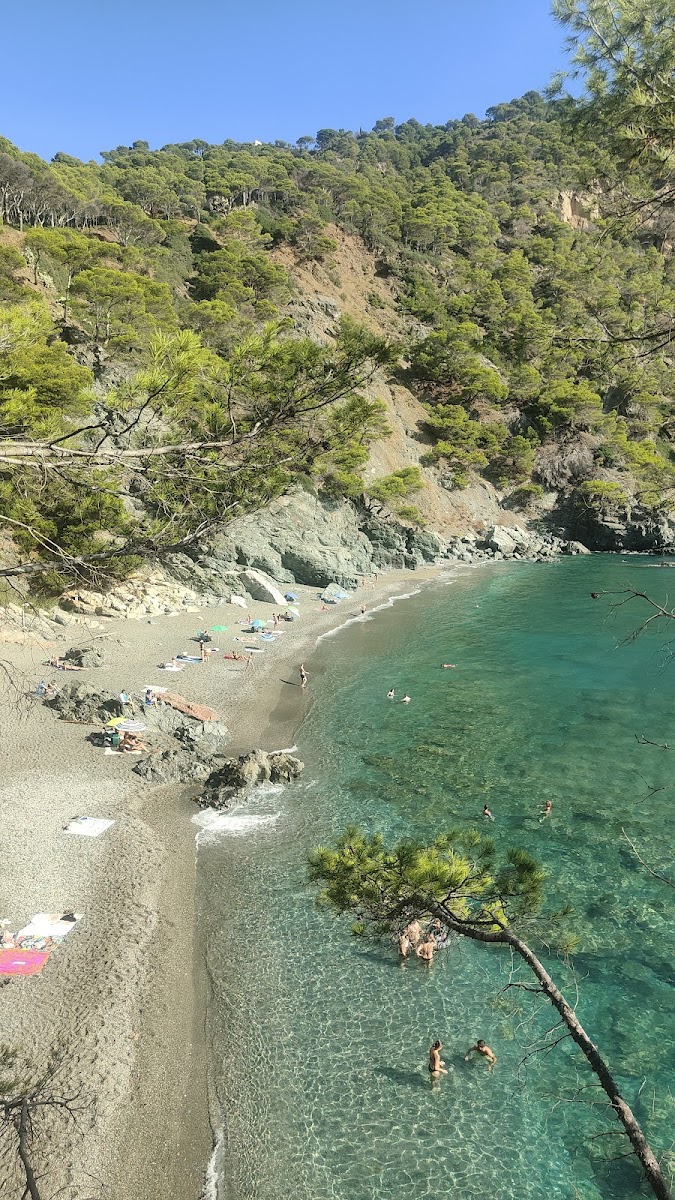 Platja Fonda