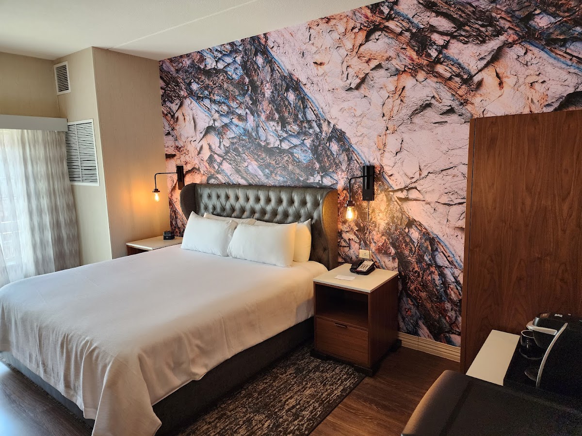 Hotel Indigo Naperville Riverwalk by IHG photo 2