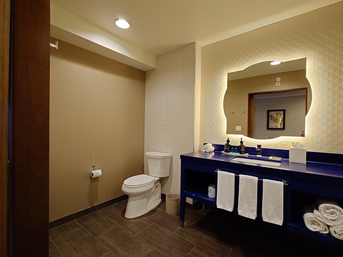 Hotel Indigo Naperville Riverwalk by IHG photo 3