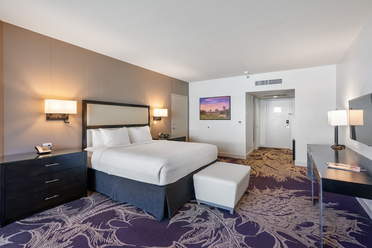 Hotel Zoso photo 2
