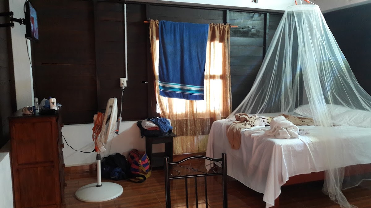 Room 5