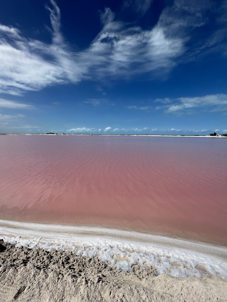 Playa Las Coloradas