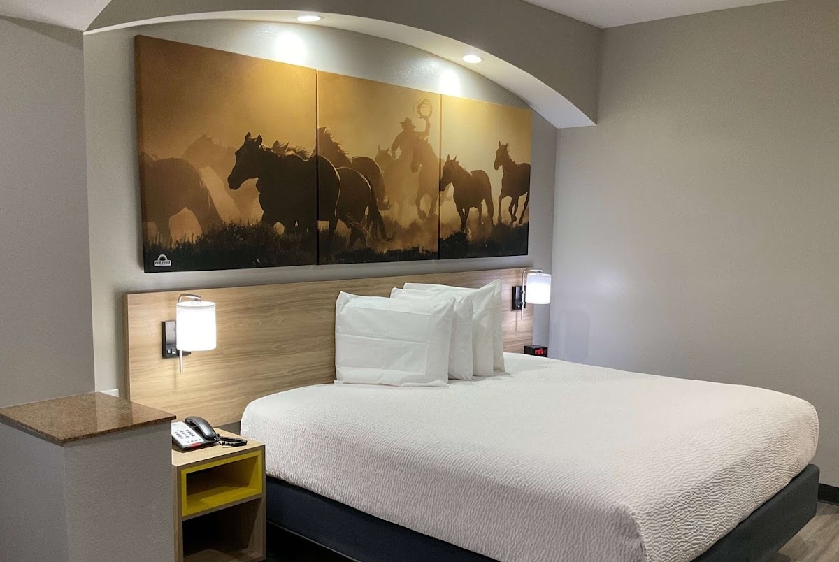 Days Inn by Wyndham Humble/Houston Intercontinental Airport photo 2