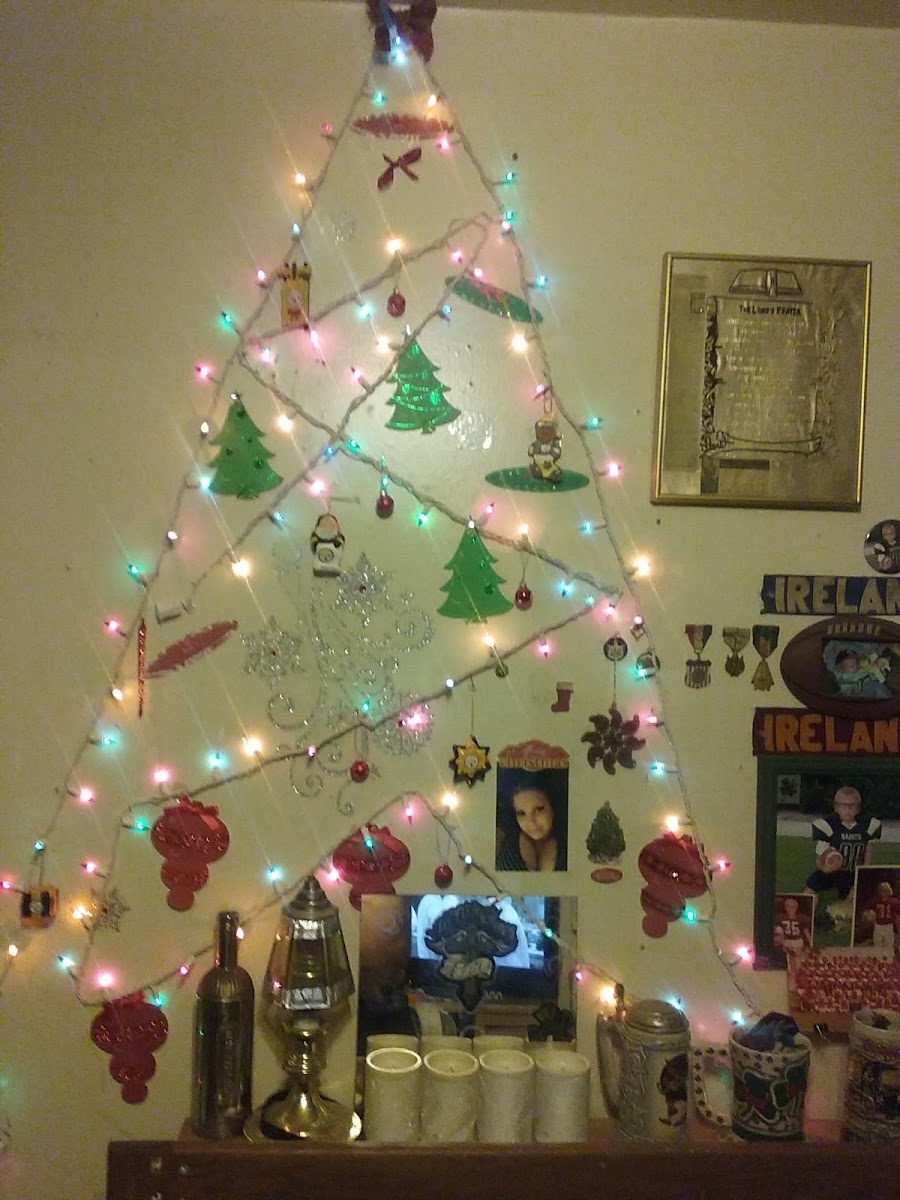 Bright Star Motel photo 3