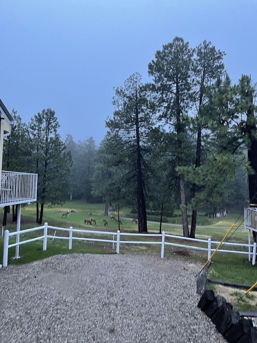 Spur Landing Real Estate & Lodging photo 3