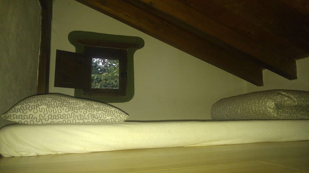 Room 4