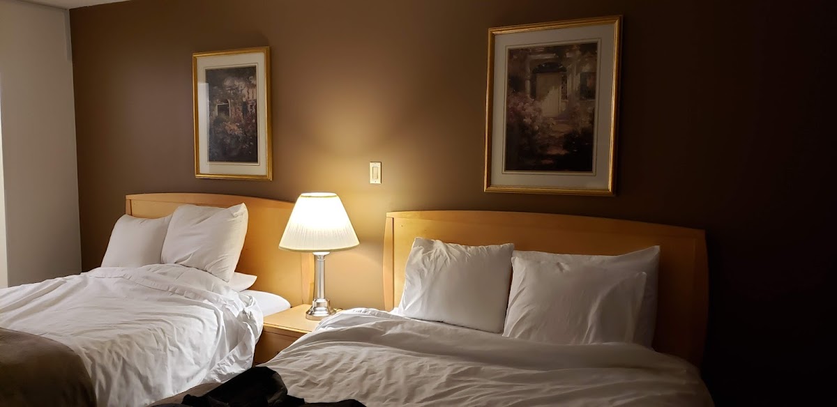 Eastglen Motor Inn photo 2