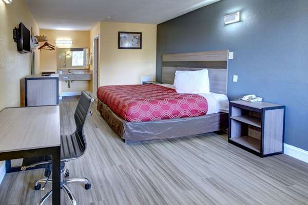 Econo Lodge at Military Circle photo 2