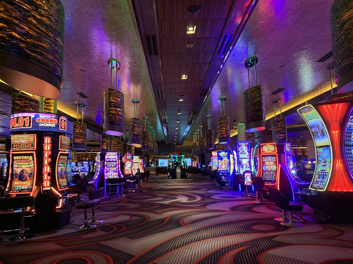 M Resort Spa Casino photo 2
