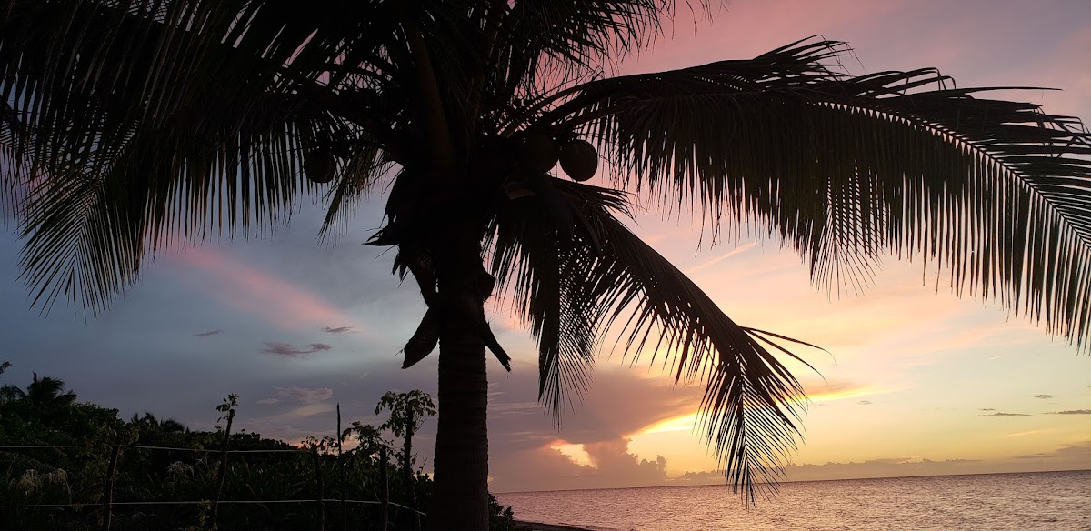 Las Palamas Beach Resort photo 3