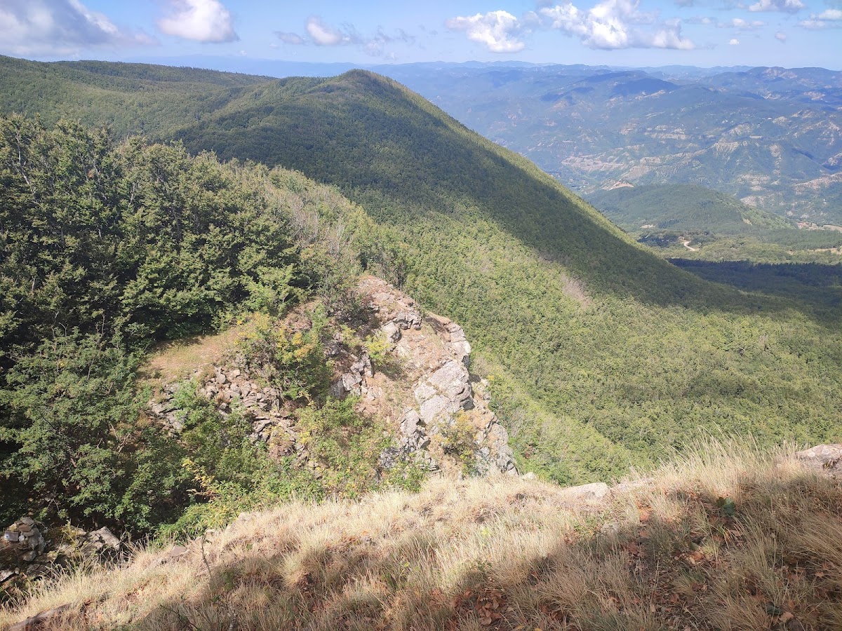Monte Falterona