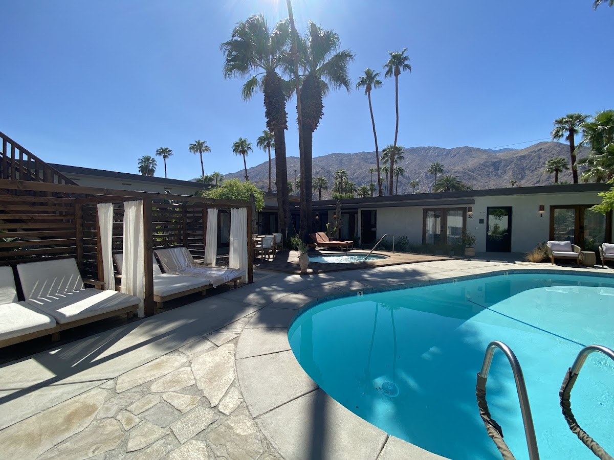 Terra Palm Springs photo 3