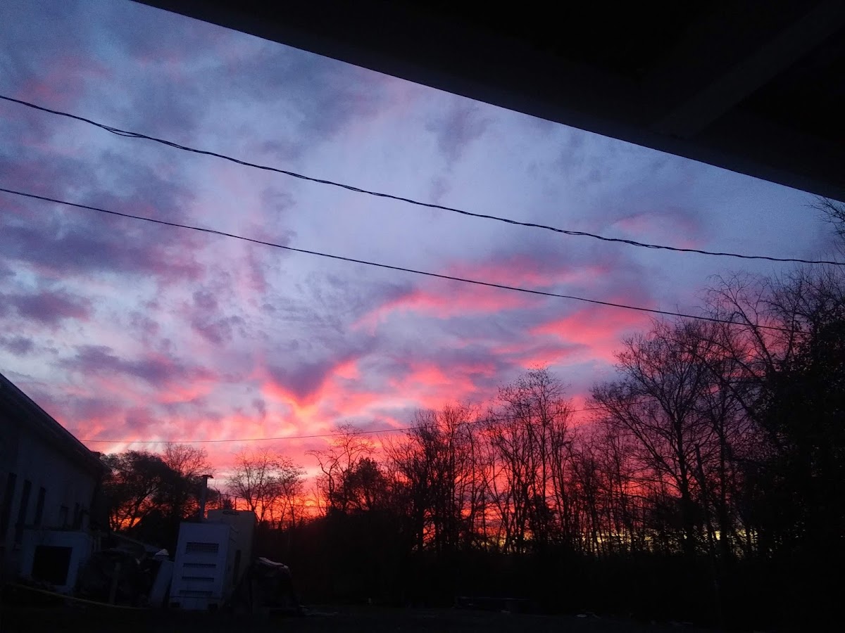 Sunset Terrace Motel photo 3