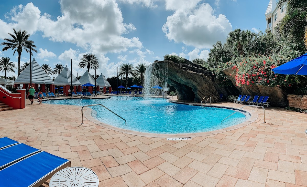 Hilton Grand Vacations Club SeaWorld Orlando photo 3