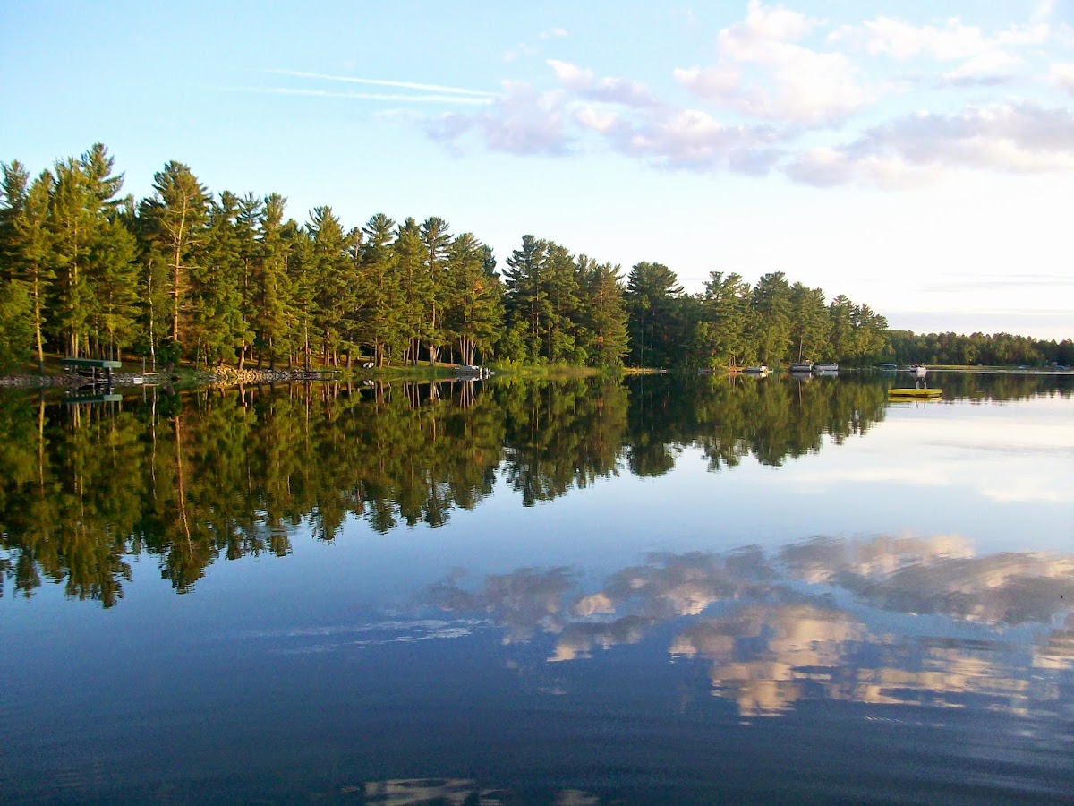 Woodson Cabins photo 2