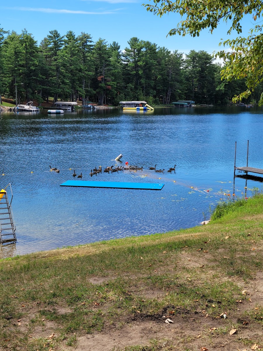 Woodson Cabins photo 3