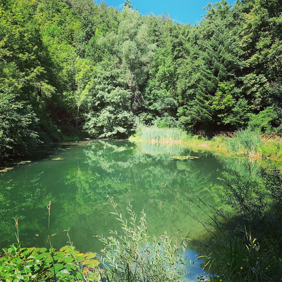 Giardino Botanico di Valbonella