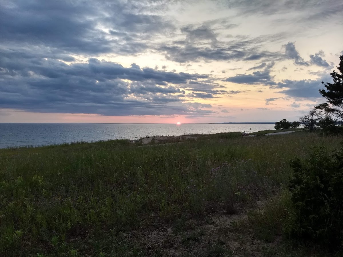 Dune Shores Resort photo 2